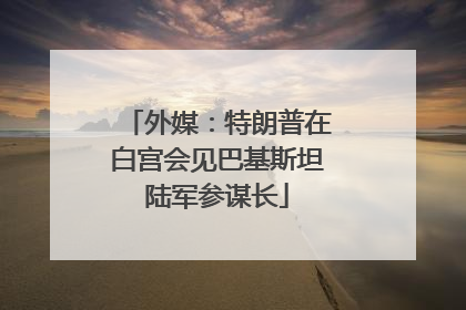 外媒：特朗普在白宫会见巴基斯坦陆军参谋长