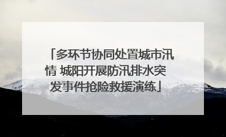 多环节协同处置城市汛情 城阳开展防汛排水突发事件抢险救援演练