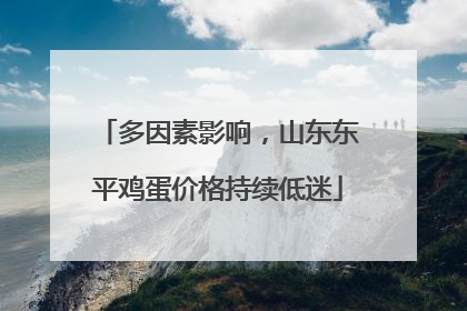 多因素影响，山东东平鸡蛋价格持续低迷