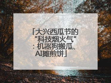 大兴西瓜节的“科技烟火气”：机器狗搬瓜、AI摊煎饼