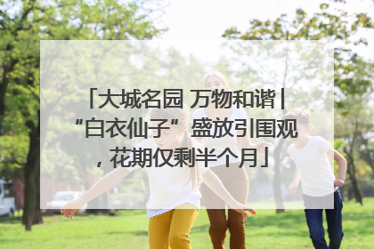 大城名园 万物和谐│“白衣仙子”盛放引围观，花期仅剩半个月
