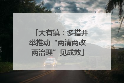 大有镇：多措并举推动“两清两改两治理”见成效