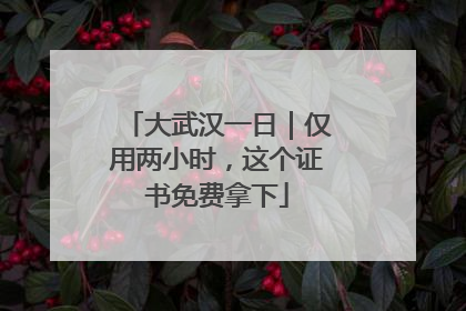 大武汉一日｜仅用两小时，这个证书免费拿下