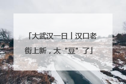 大武汉一日︱汉口老街上新，太“豆”了