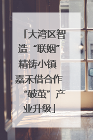 大湾区智造“联姻”精铸小镇 嘉禾借合作“破茧”产业升级