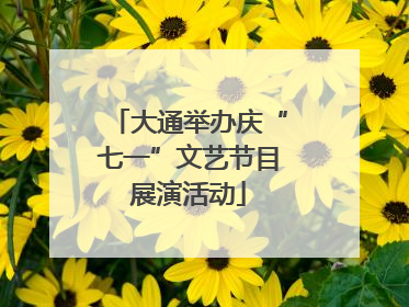 大通举办庆“七一”文艺节目展演活动