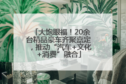 大饱眼福！20余台精品豪车齐聚嘉定，推动“汽车+文化+消费”融合