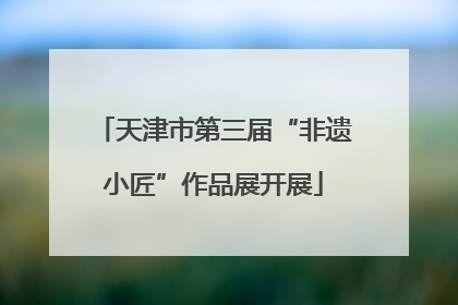 天津市第三届“非遗小匠”作品展开展