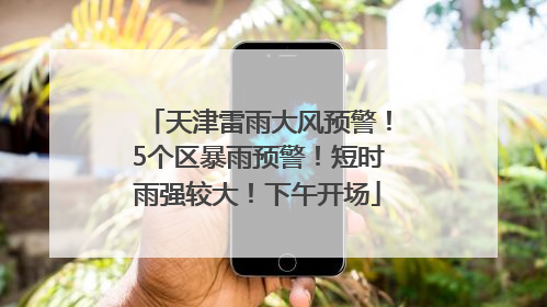 天津雷雨大风预警！5个区暴雨预警！短时雨强较大！下午开场