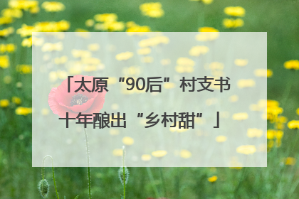 太原“90后”村支书十年酿出“乡村甜”