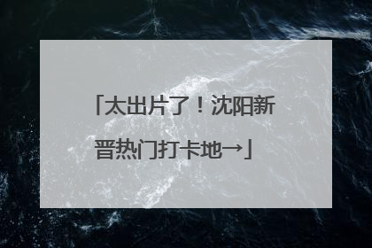 太出片了！沈阳新晋热门打卡地→