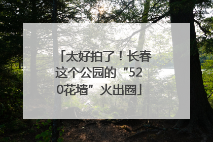 太好拍了!长春这个公园的“520花墙”火出圈