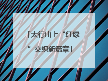 太行山上“红绿”交织新篇章