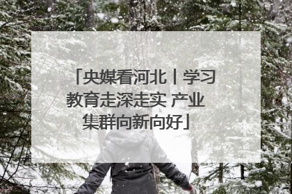 央媒看河北丨学习教育走深走实 产业集群向新向好