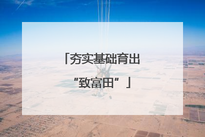 夯实基础育出“致富田”