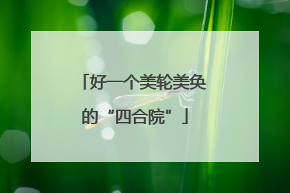 好一个美轮美奂的“四合院”