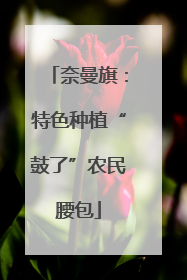 奈曼旗：特色种植“鼓了”农民腰包