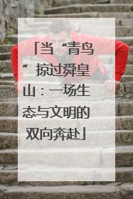 当“青鸟”掠过舜皇山：一场生态与文明的双向奔赴