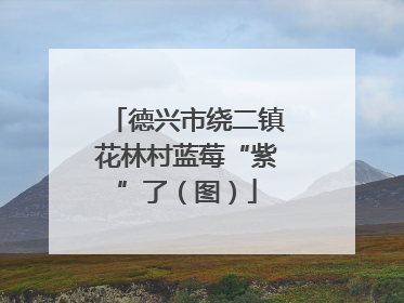 德兴市绕二镇花林村蓝莓“紫”了（图）