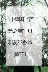 德国“芦笋之城”贝利茨举办芦笋节