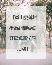 微山县傅村街道赴驩城镇开展观摩学习活动