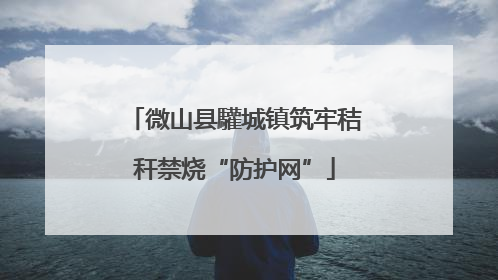 微山县驩城镇筑牢秸秆禁烧“防护网”