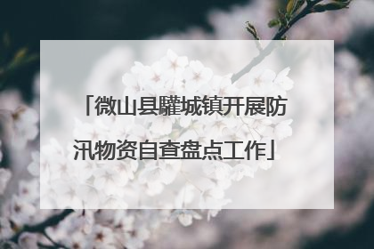 微山县驩城镇开展防汛物资自查盘点工作