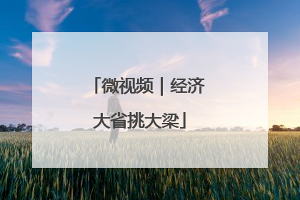 微视频｜经济大省挑大梁
