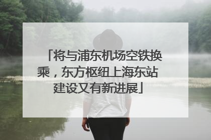 将与浦东机场空铁换乘，东方枢纽上海东站建设又有新进展