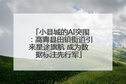 小县城的AI突围：高青县田镇街道引来星途旗航 成为数据标注先行军