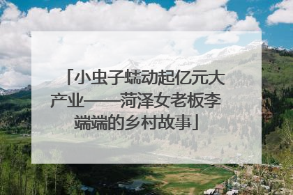 小虫子蠕动起亿元大产业——菏泽女老板李端端的乡村故事