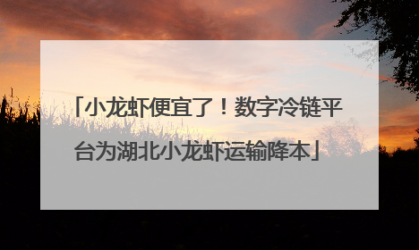 小龙虾便宜了！数字冷链平台为湖北小龙虾运输降本