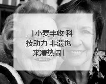 小麦丰收 科技助力 非遗也来凑热闹
