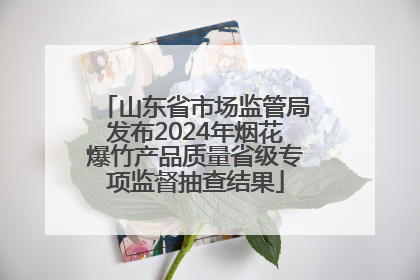 山东省市场监管局发布2024年烟花爆竹产品质量省级专项监督抽查结果