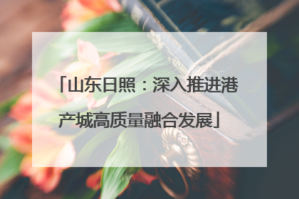 山东日照：深入推进港产城高质量融合发展
