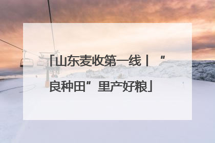 山东麦收第一线丨“良种田”里产好粮