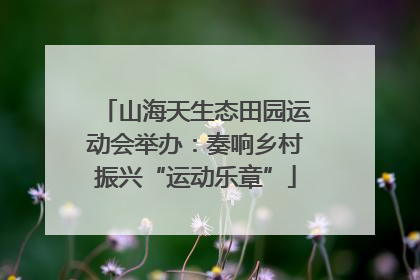 山海天生态田园运动会举办：奏响乡村振兴“运动乐章”