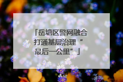 岳塘区警网融合 打通基层治理“最后一公里”