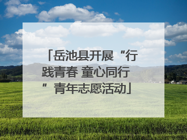 岳池县开展“行践青春 童心同行”青年志愿活动