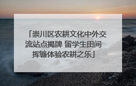 崇川区农耕文化中外交流站点揭牌 留学生田间挥镰体验农耕之乐