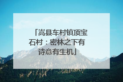 嵩县车村镇顶宝石村：密林之下有诗意有生机