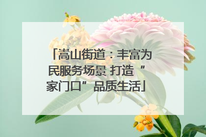 嵩山街道：丰富为民服务场景 打造“家门口”品质生活