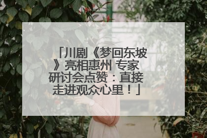 川剧《梦回东坡》亮相惠州 专家研讨会点赞：直接走进观众心里！