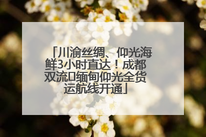 川渝丝绸、仰光海鲜3小时直达！成都双流⇌缅甸仰光全货运航线开通
