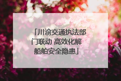 川渝交通执法部门联动 高效化解船舶安全隐患