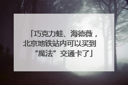 巧克力蛙、海德薇，北京地铁站内可以买到“魔法”交通卡了