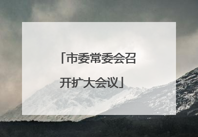 市委常委会召开扩大会议