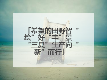 希望的田野智“绘”好“丰”景 “三夏”生产向“新”而行