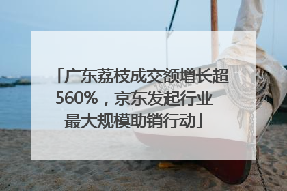 广东荔枝成交额增长超560%，京东发起行业最大规模助销行动
