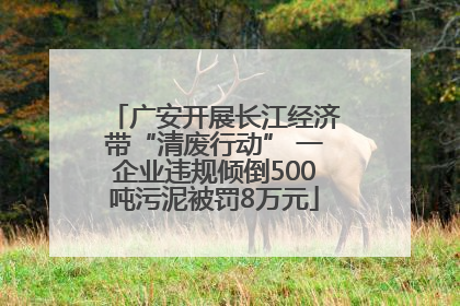 广安开展长江经济带“清废行动” 一企业违规倾倒500吨污泥被罚8万元